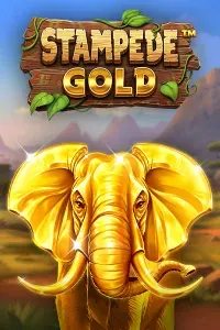 stampedegold